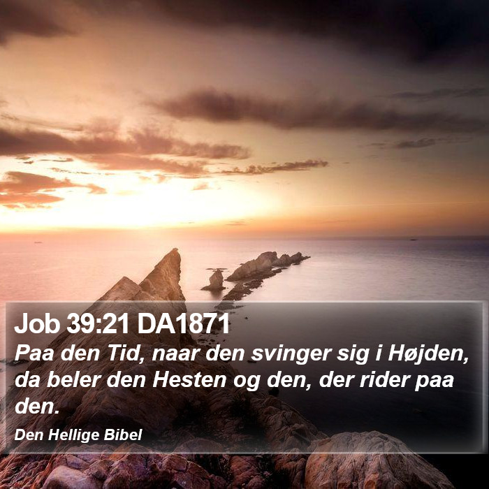 Job 39:21 DA1871 Bible Study