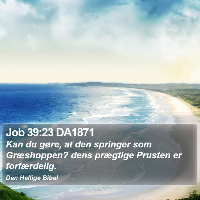 Job 39:23 DA1871 Bible Study