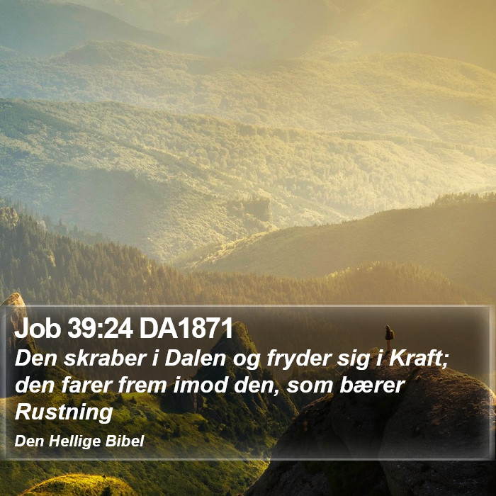 Job 39:24 DA1871 Bible Study