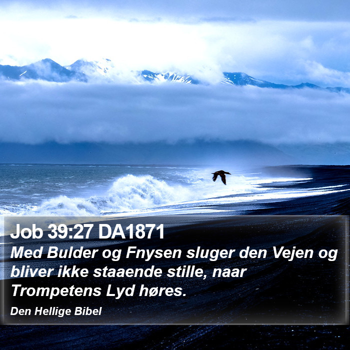 Job 39:27 DA1871 Bible Study