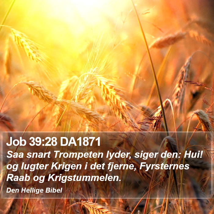 Job 39:28 DA1871 Bible Study