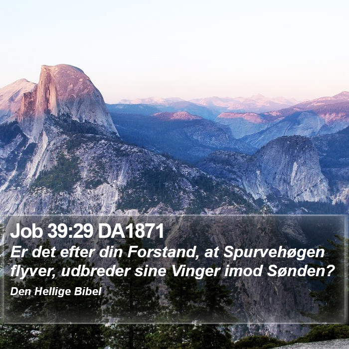 Job 39:29 DA1871 Bible Study