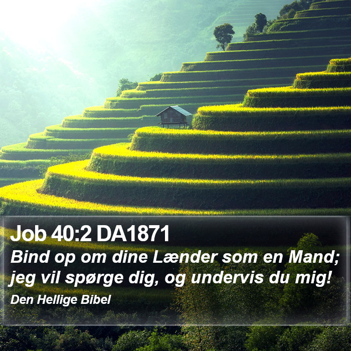 Job 40:2 DA1871 Bible Study