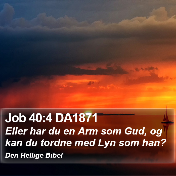 Job 40:4 DA1871 Bible Study