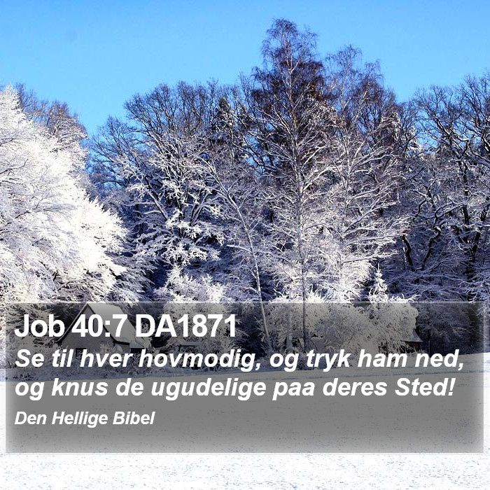 Job 40:7 DA1871 Bible Study