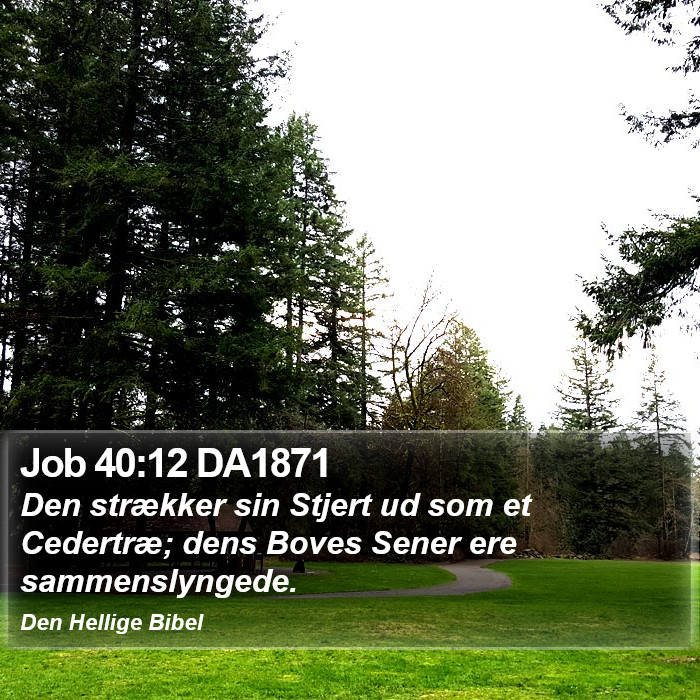 Job 40:12 DA1871 Bible Study