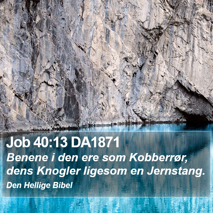 Job 40:13 DA1871 Bible Study