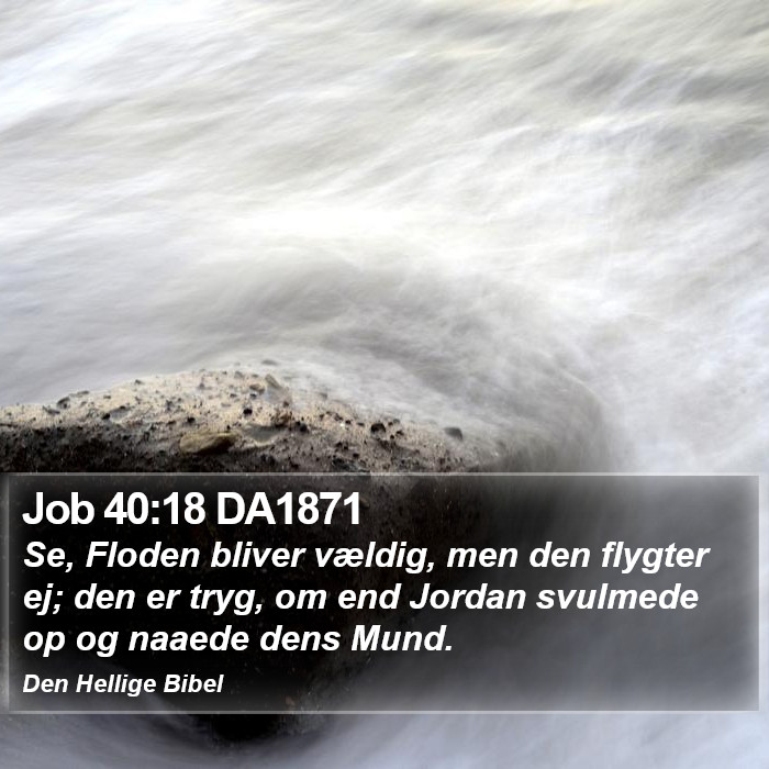 Job 40:18 DA1871 Bible Study