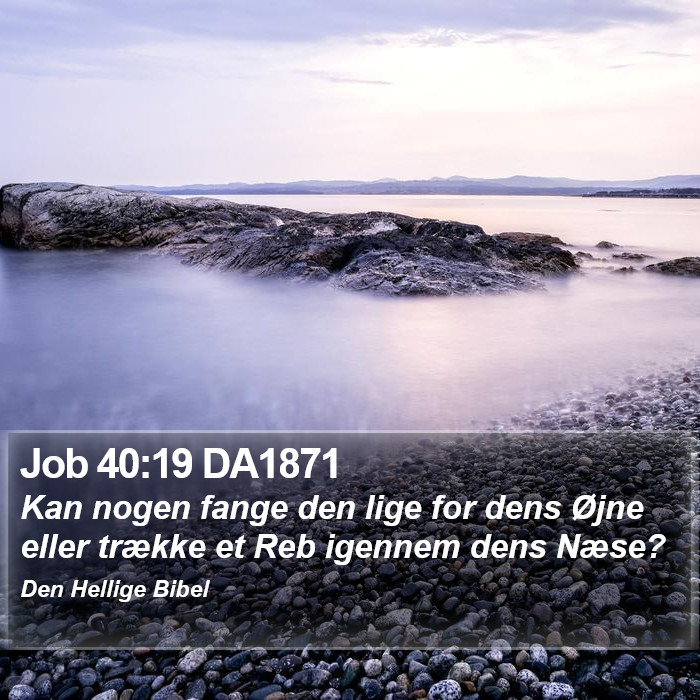 Job 40:19 DA1871 Bible Study