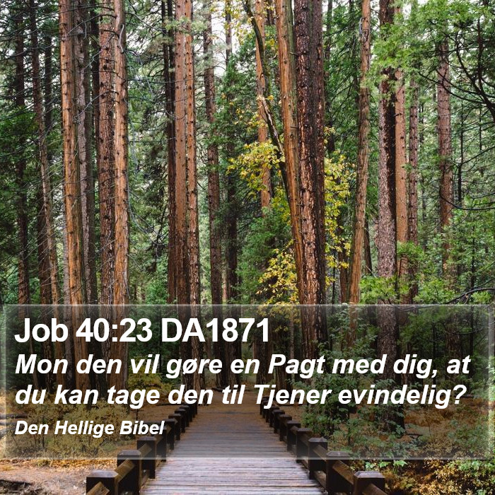 Job 40:23 DA1871 Bible Study