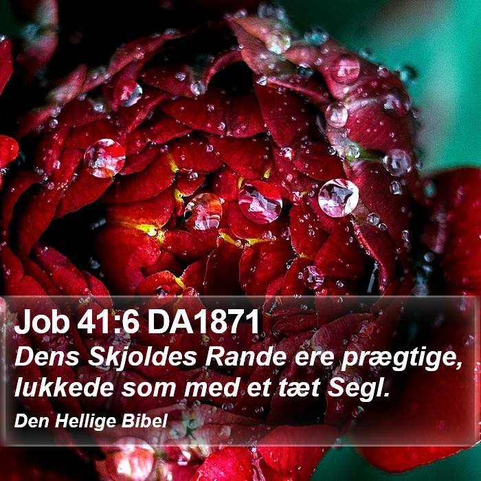 Job 41:6 DA1871 Bible Study