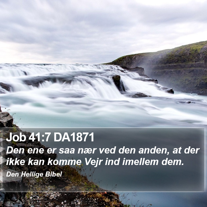 Job 41:7 DA1871 Bible Study