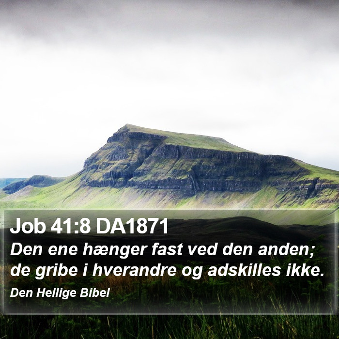 Job 41:8 DA1871 Bible Study