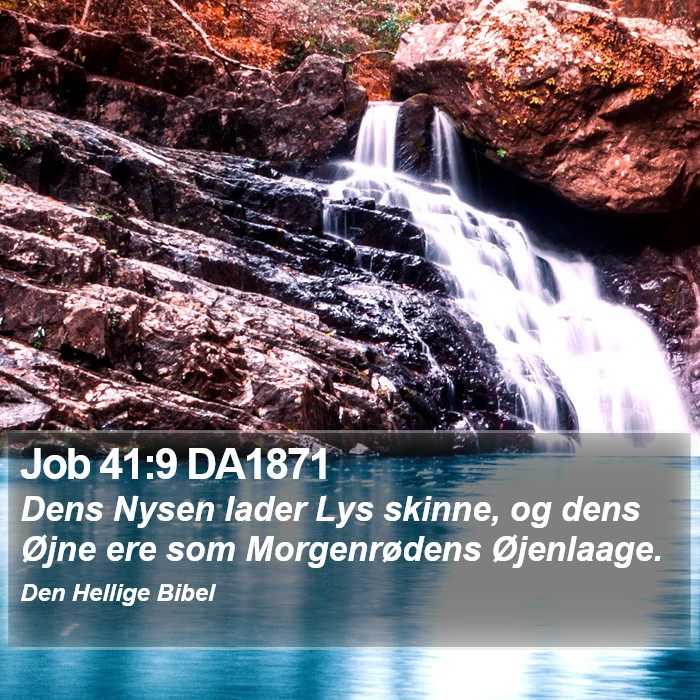 Job 41:9 DA1871 Bible Study