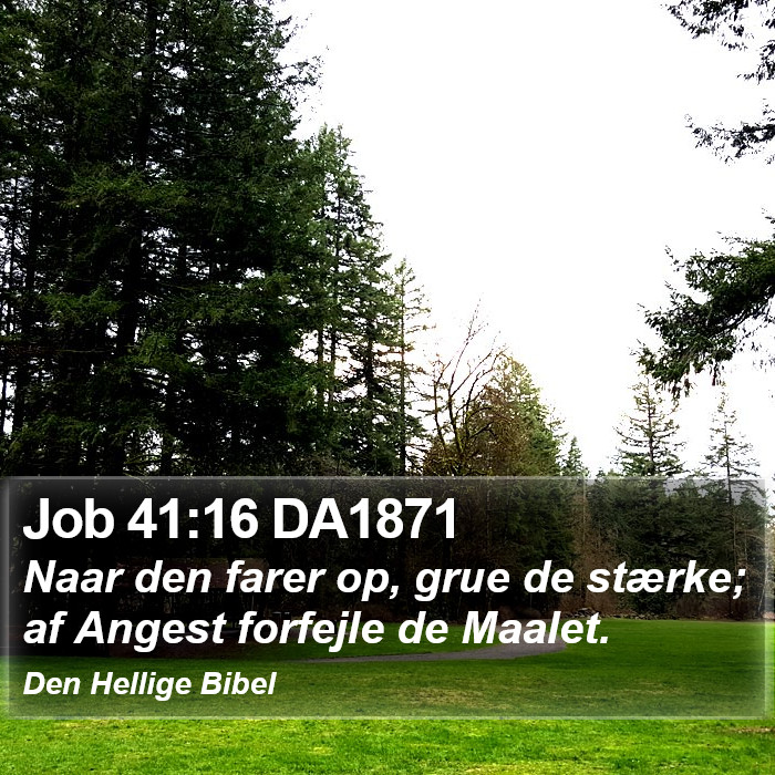 Job 41:16 DA1871 Bible Study