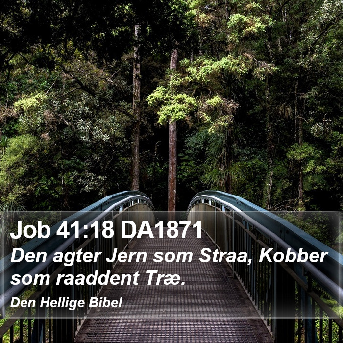 Job 41:18 DA1871 Bible Study
