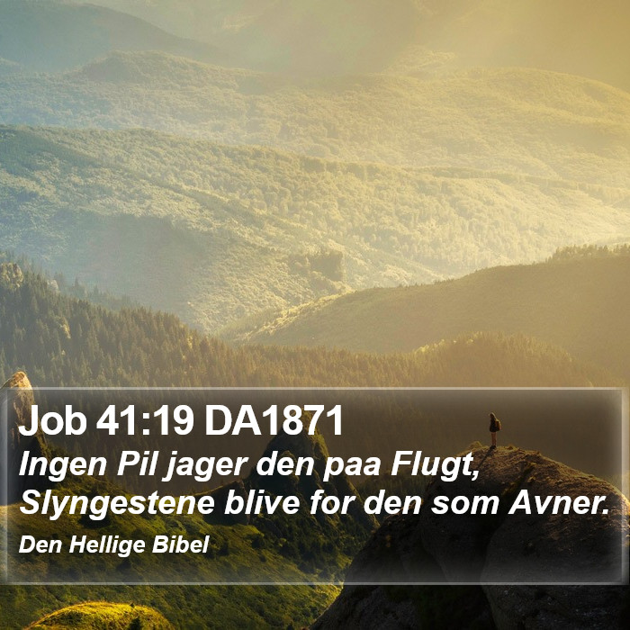Job 41:19 DA1871 Bible Study