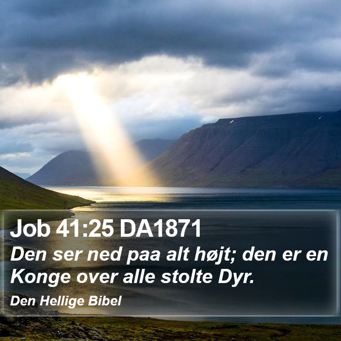 Job 41:25 DA1871 Bible Study