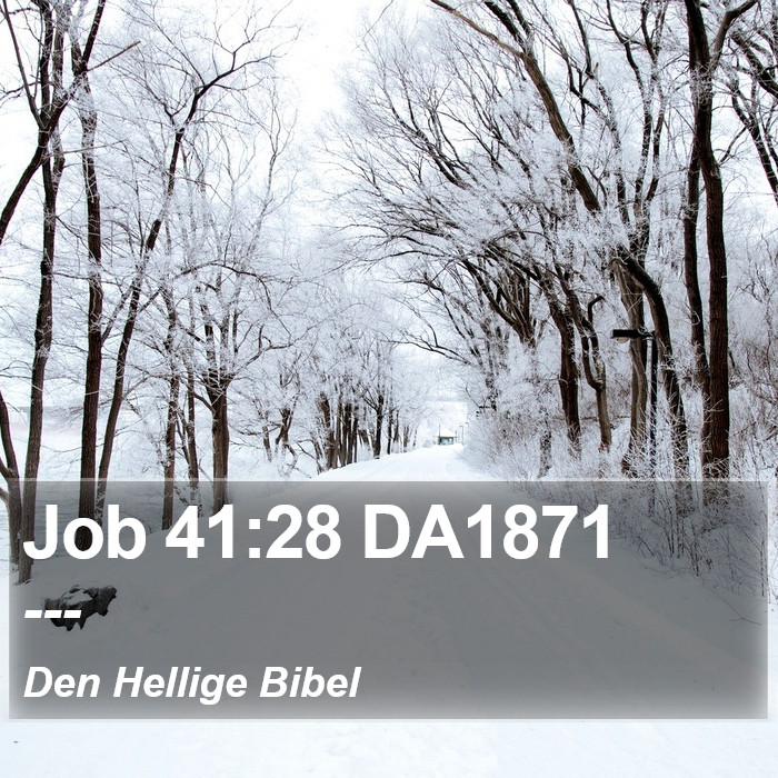 Job 41:28 DA1871 Bible Study