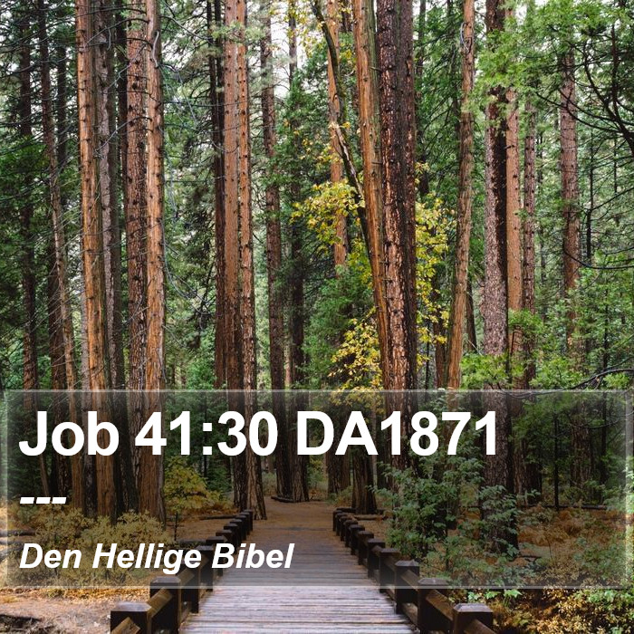 Job 41:30 DA1871 Bible Study