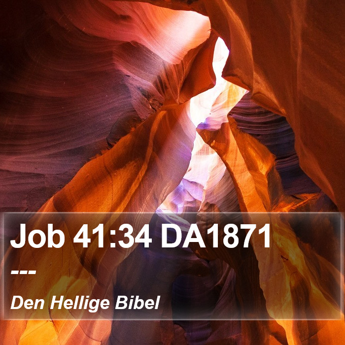 Job 41:34 DA1871 Bible Study