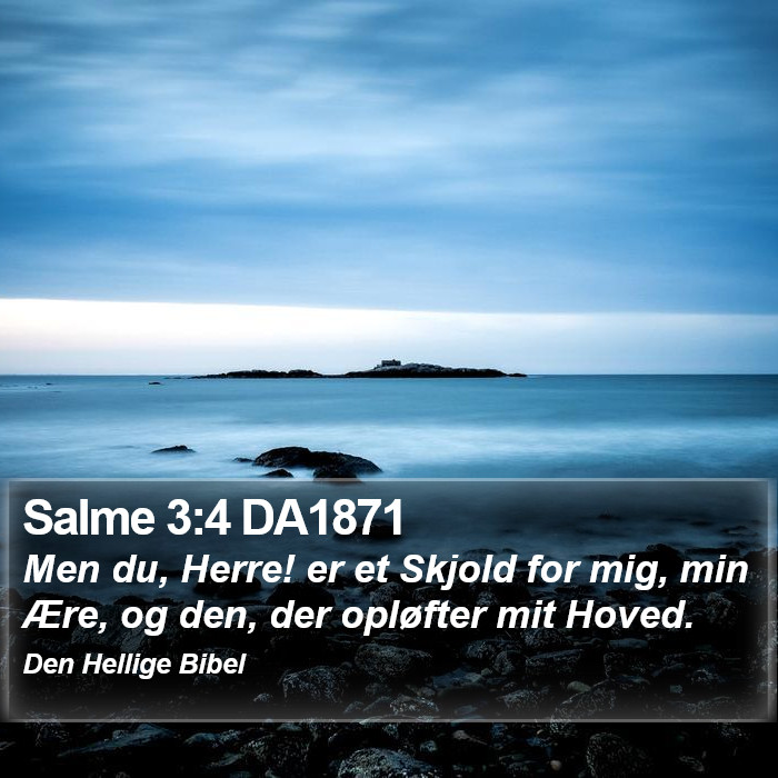 Salme 3:4 DA1871 Bible Study