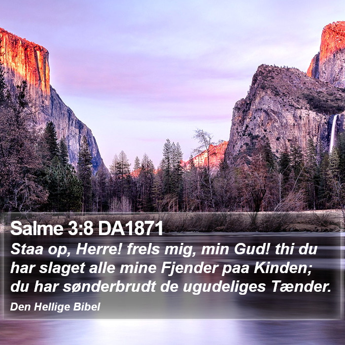 Salme 3:8 DA1871 Bible Study