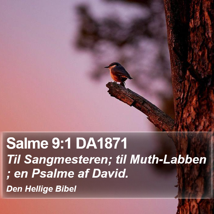 Salme 9:1 DA1871 Bible Study