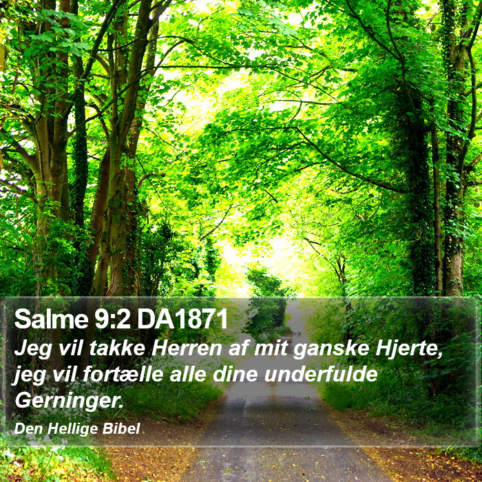 Salme 9:2 DA1871 Bible Study