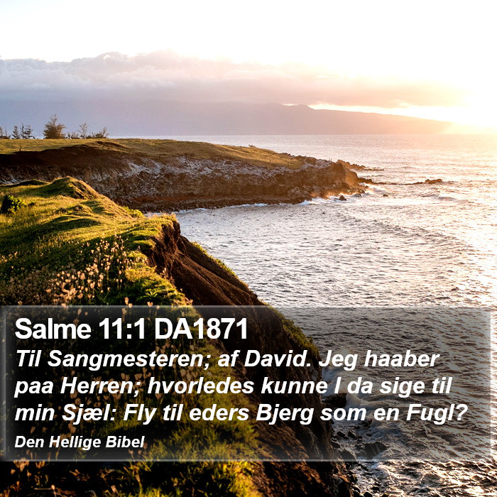 Salme 11:1 DA1871 Bible Study