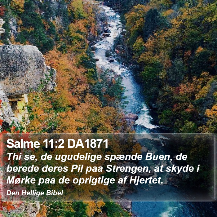 Salme 11:2 DA1871 Bible Study