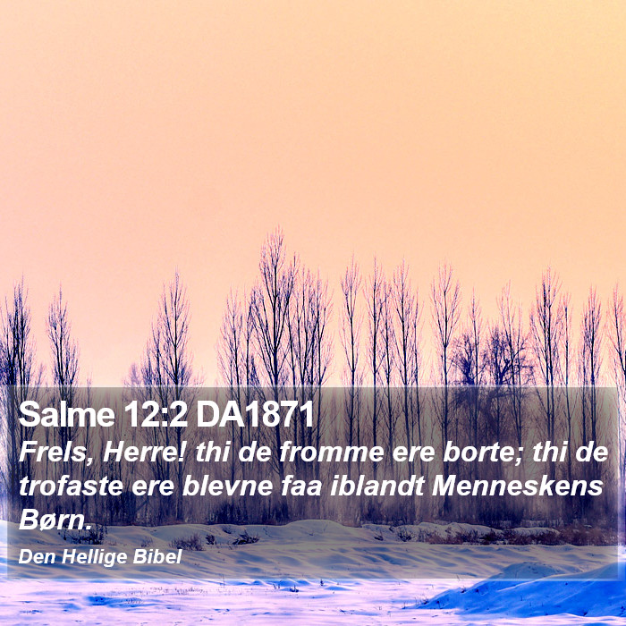 Salme 12:2 DA1871 Bible Study