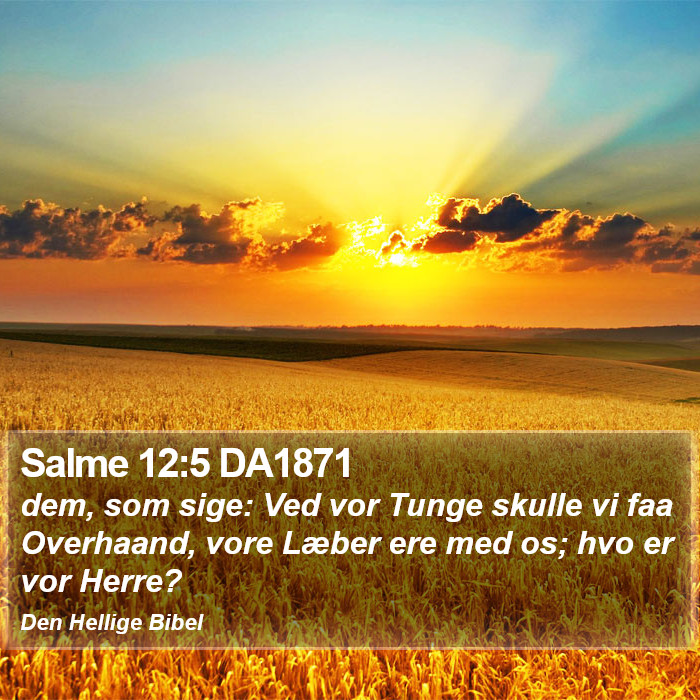 Salme 12:5 DA1871 Bible Study