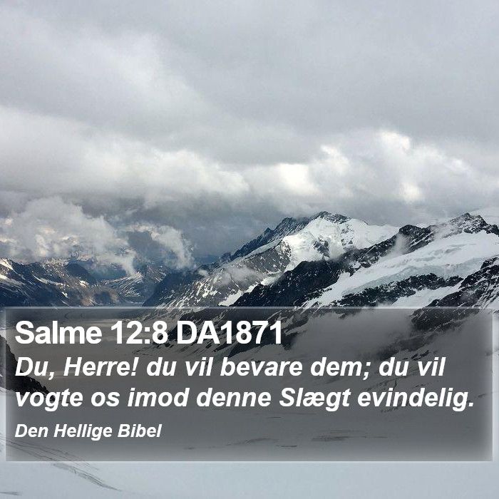 Salme 12:8 DA1871 Bible Study