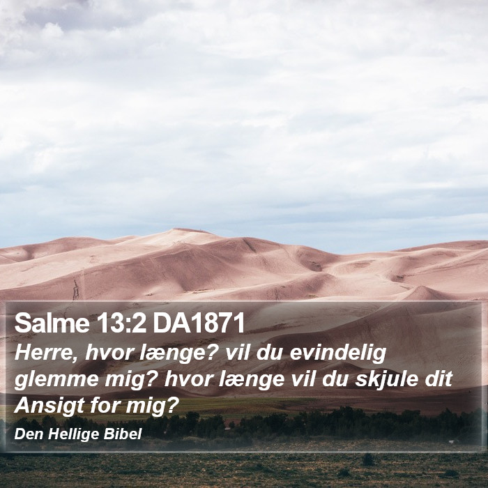 Salme 13:2 DA1871 Bible Study