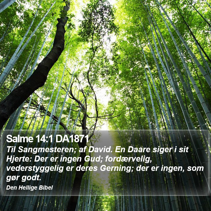 Salme 14:1 DA1871 Bible Study