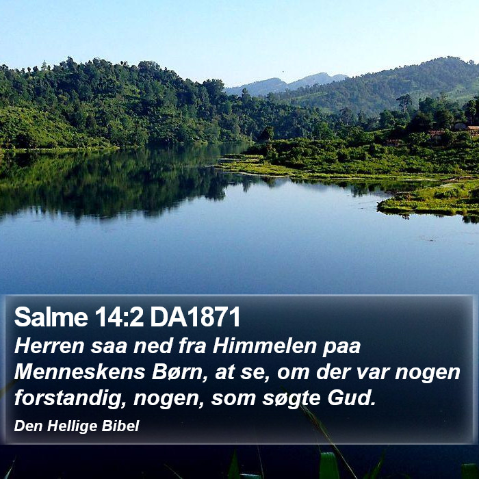 Salme 14:2 DA1871 Bible Study