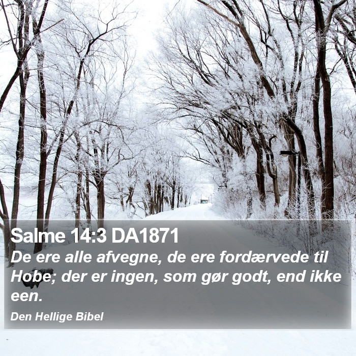 Salme 14:3 DA1871 Bible Study