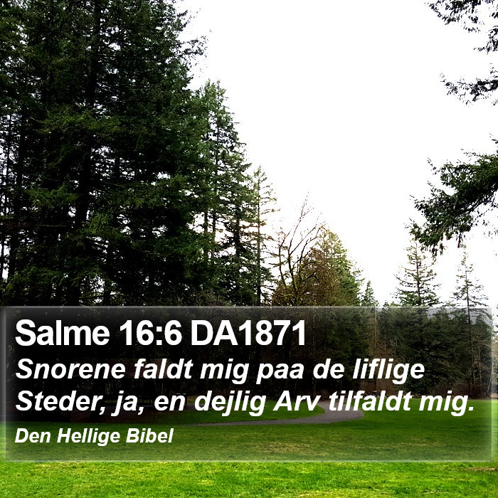 Salme 16:6 DA1871 Bible Study