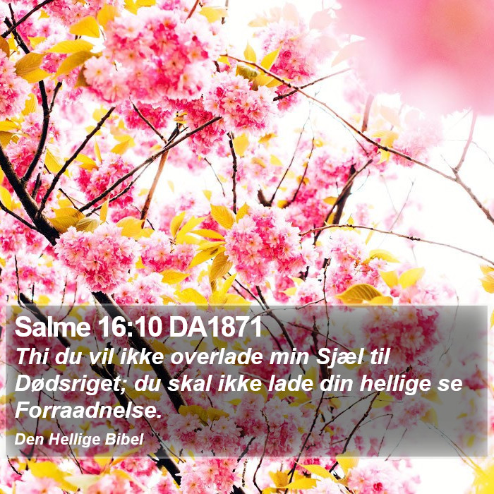 Salme 16:10 DA1871 Bible Study