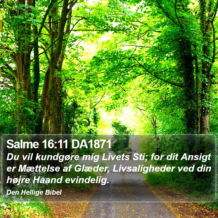 Salme 16:11 DA1871 Bible Study