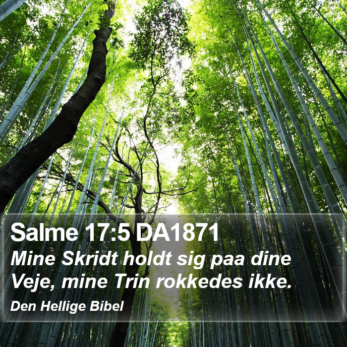 Salme 17:5 DA1871 Bible Study