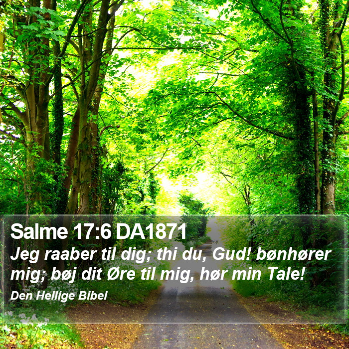 Salme 17:6 DA1871 Bible Study