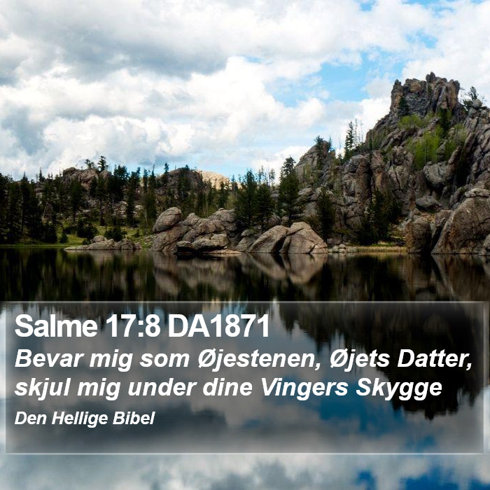 Salme 17:8 DA1871 Bible Study