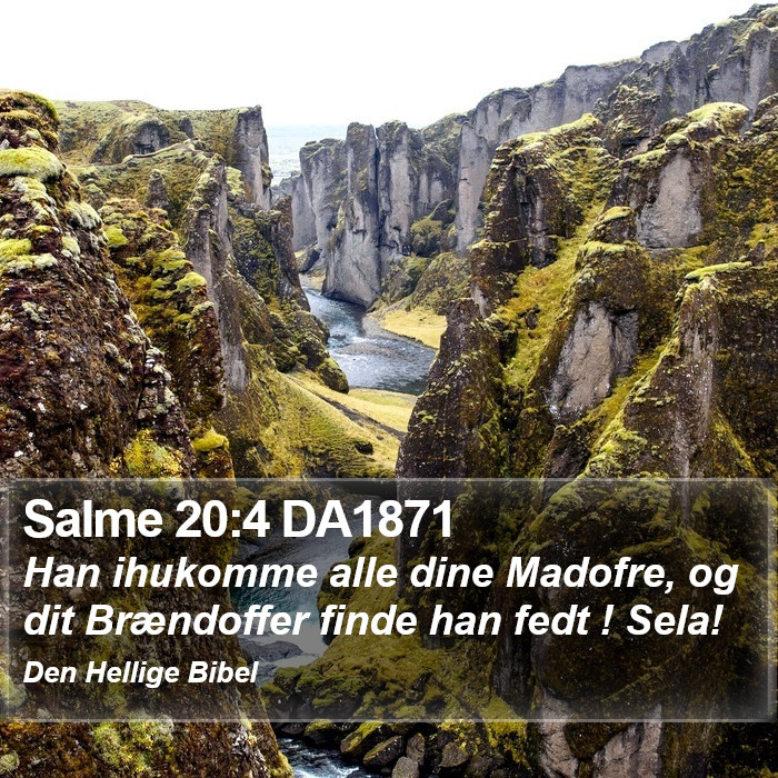 Salme 20:4 DA1871 Bible Study