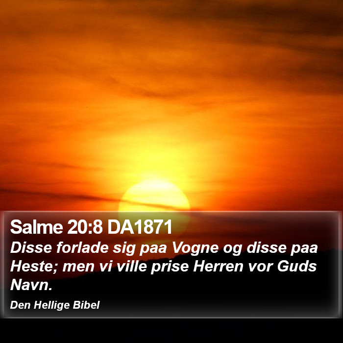 Salme 20:8 DA1871 Bible Study