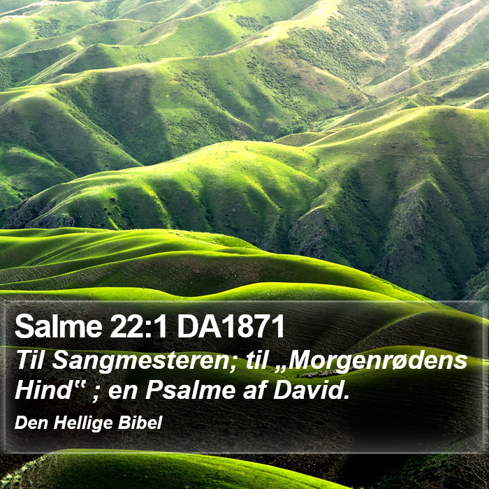 Salme 22:1 DA1871 Bible Study