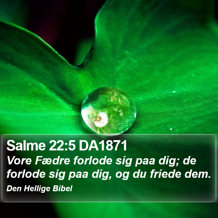 Salme 22:5 DA1871 Bible Study