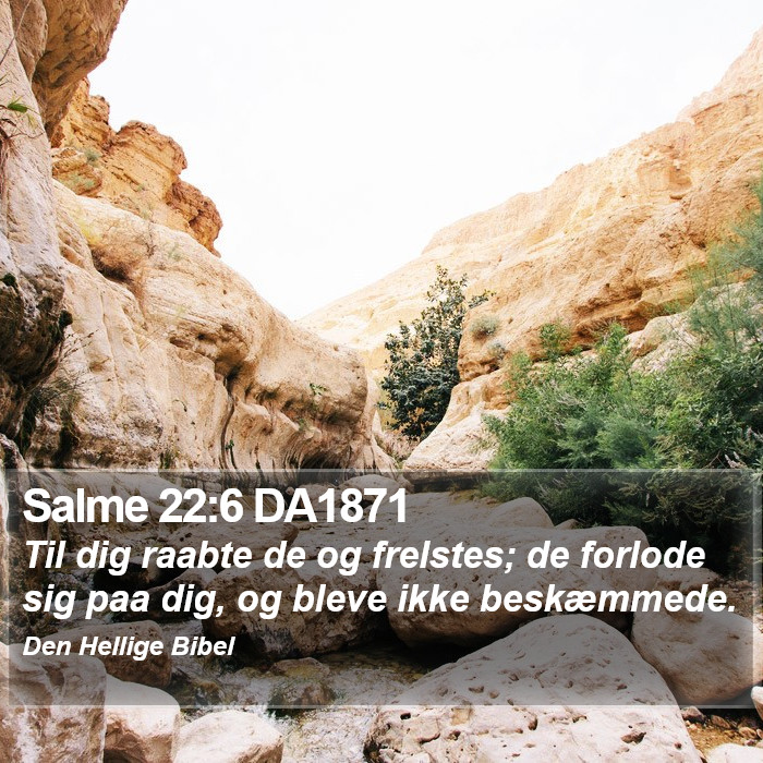 Salme 22:6 DA1871 Bible Study