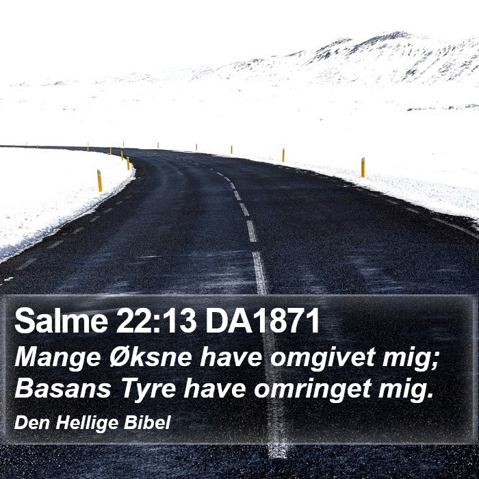 Salme 22:13 DA1871 Bible Study